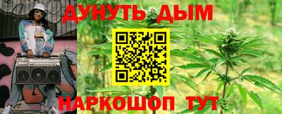 дмт Краснодар