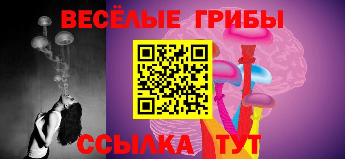 Донской  Галлюциногенные грибы GOLDEN TEACHER  Вход с VPN 